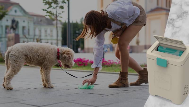 Save Time And Keep Your Yard Clean With A Pet Waste Station