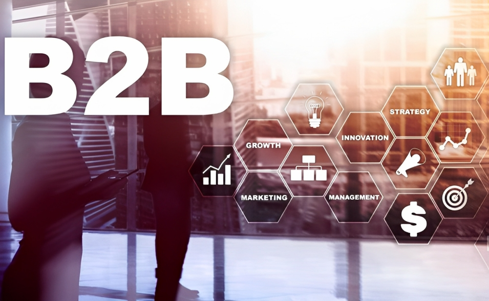 Digital Marketing Agency B2B